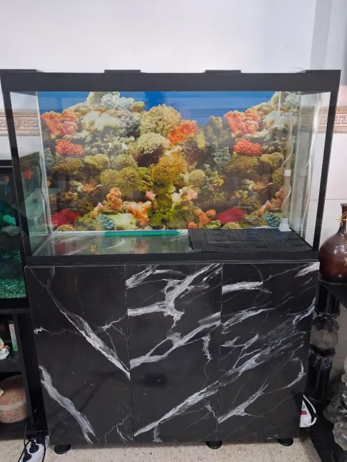 Aquarium avec meuble Haute Finition 1m