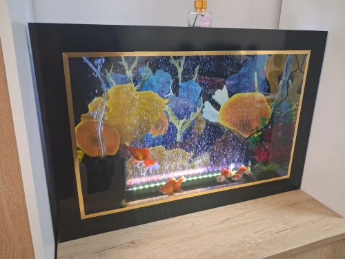 Aquarium plasma 80cm avec accessoires et 10 poissons Koi