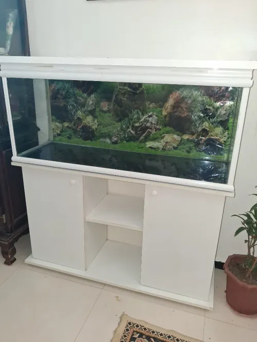 Aquarium 1,2m avec meuble d'origine Blanc avec Équipements