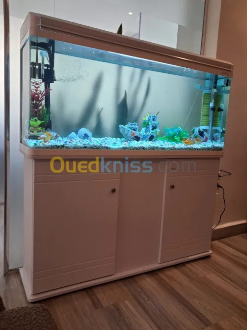 Aquariums d'importation 1m avec meuble d'origine