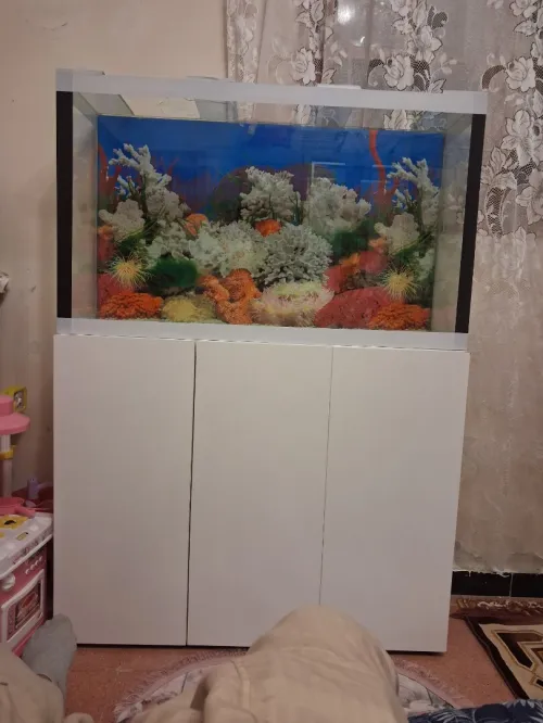 Aquarium avec meuble Haute Finition 1m
