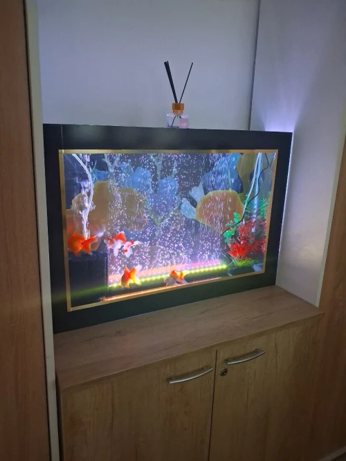 Aquarium plasma 80cm avec accessoires et 10 poissons Koi