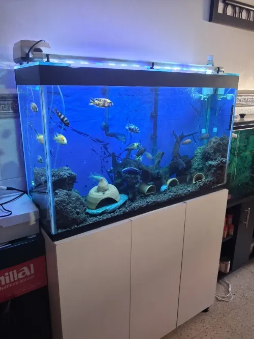 Aquarium avec meuble Haute Finition 1m