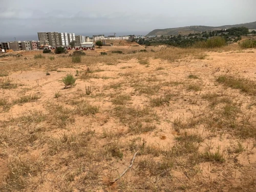 Vente Terrain Skikda Filfla