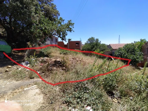Vente Terrain Médéa Medea