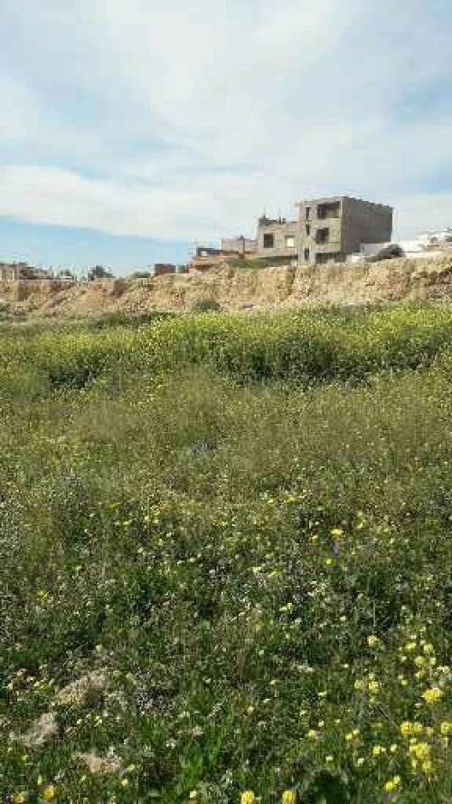 Vente Terrain Oran Marsat el hadjadj