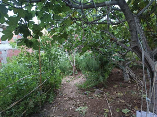 Vente Villa Blida Meftah