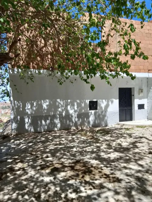Vente bien immobilier Tlemcen Tlemcen