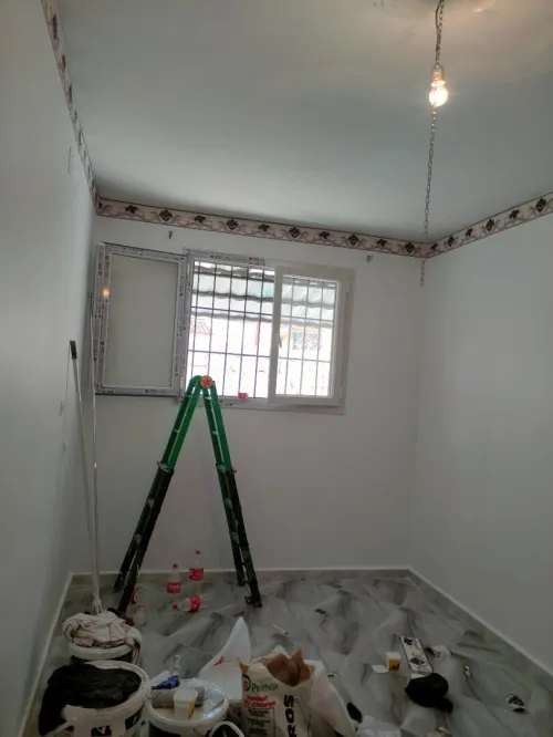 Peintre professionnel
