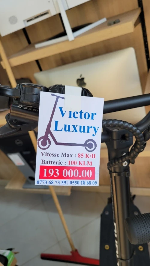 Scooter Dualtron Victor Luxury