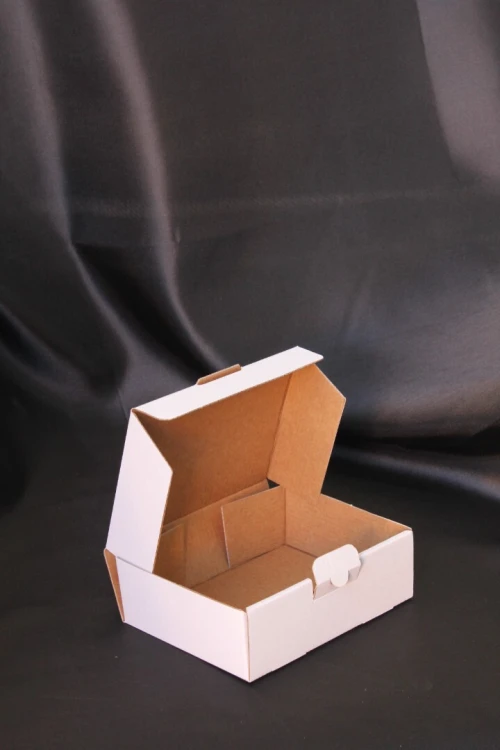 Boites en carton mico-ondulé