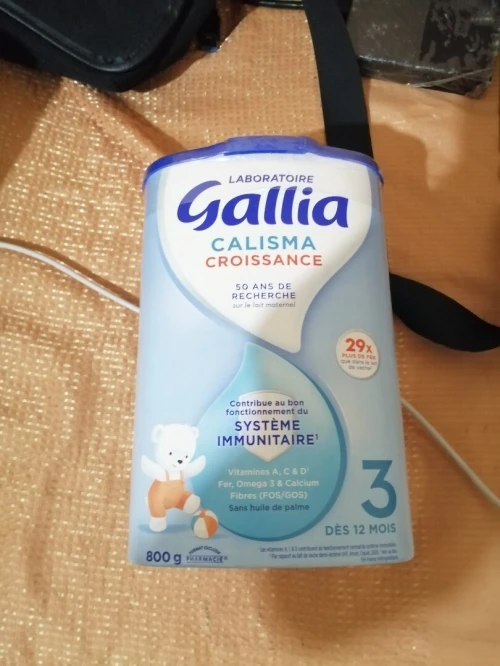 GALLIA CALISMA 1, 4