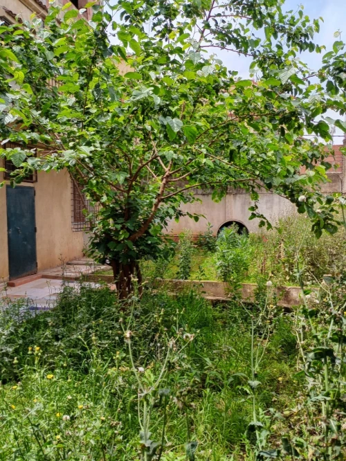 Vente Villa Alger El achour