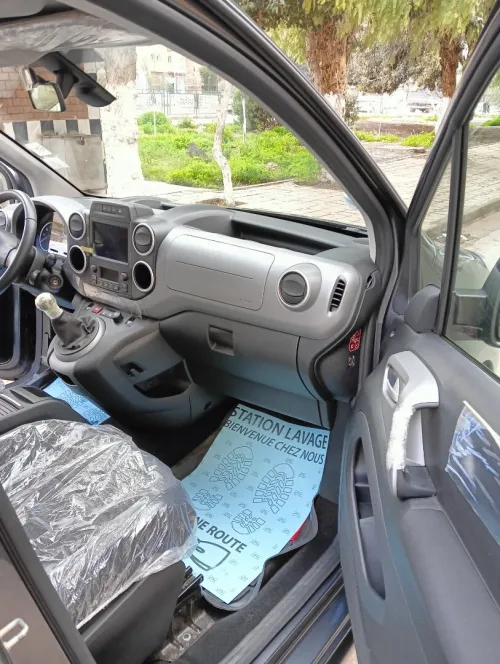 Citroen Berlingo 2017 Berlingo
