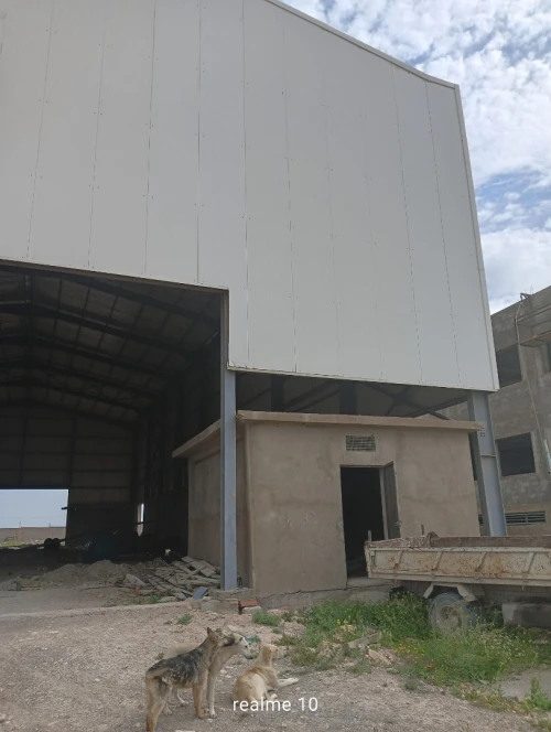 Location Hangar - Usine Sidi Bel Abbès Sidi bel abbes