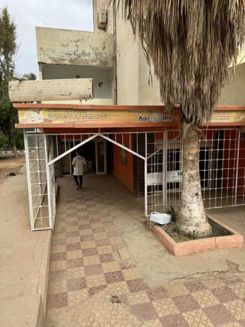 Vente Local Tlemcen Remchi