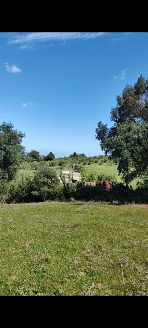 Vente Terrain Boumerdès Bouzegza keddara