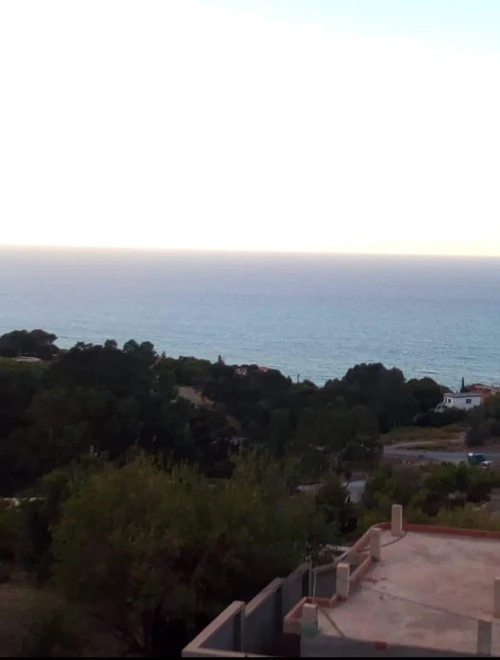 Vente Carcasse Tipaza Larhat