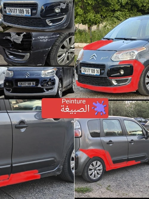 Citroen C3 Picasso 2009 Confort