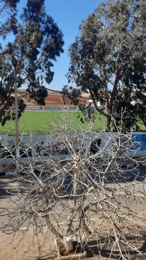 Vente Niveau De Villa F5 Aïn Témouchent Chentouf