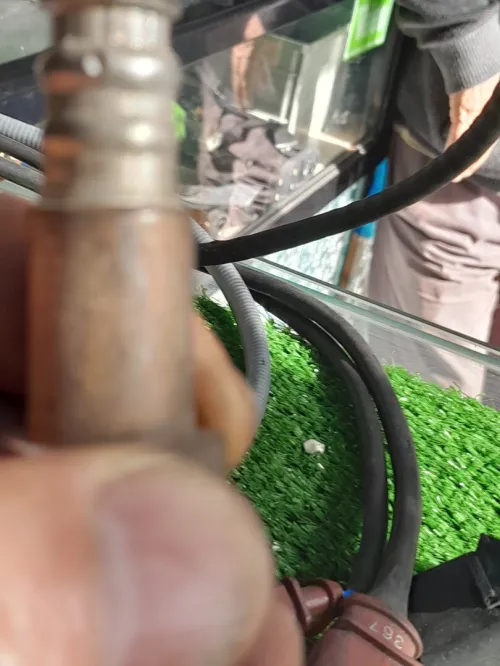 Vente en gros (بيع بالجملة) sonde à oxygène vw audi SEAT skoda 