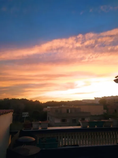 Vente Appartement Niveau de villa F3 Alger Bab el oued