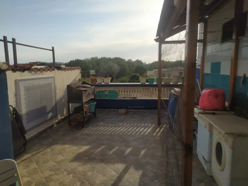 Vente Appartement Niveau de villa F3 Alger Bab el oued