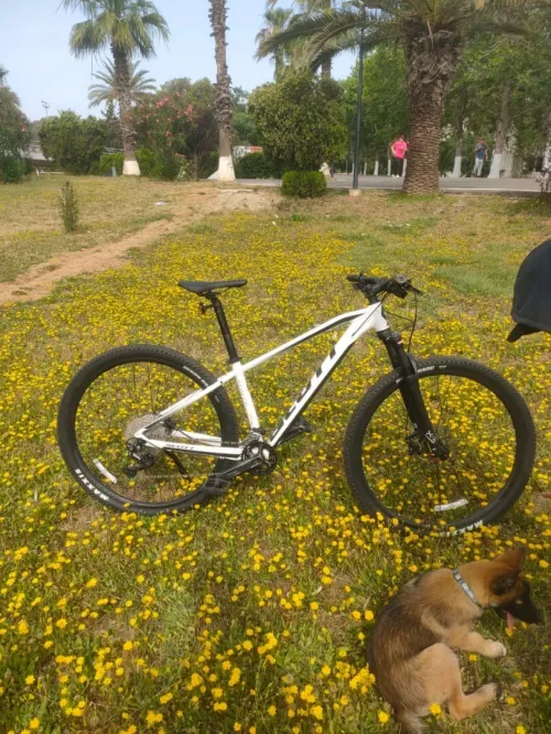Scott Aspect 930 à vendre