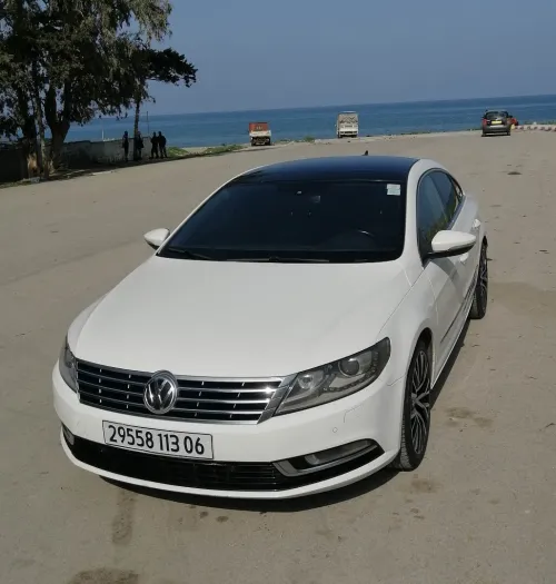 Volkswagen Passat CC 2013 Passat CC
