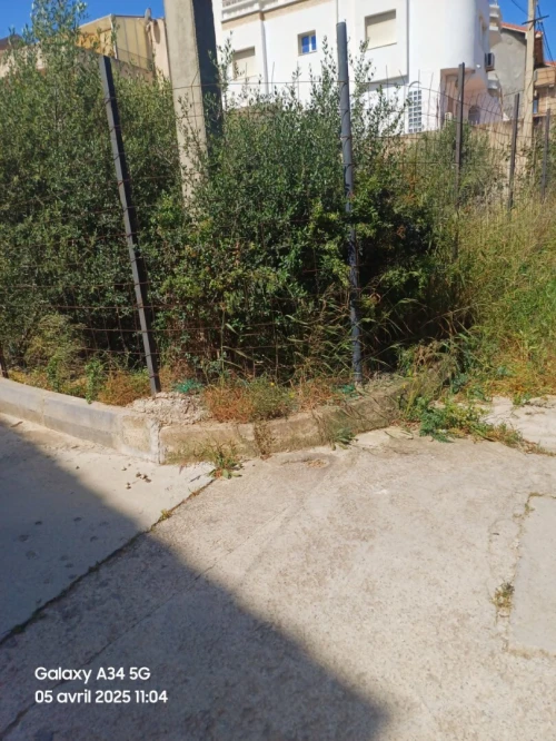 Vente Terrain Alger Birkhadem