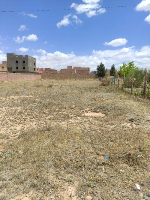 Vente Terrain Djelfa Ain maabed