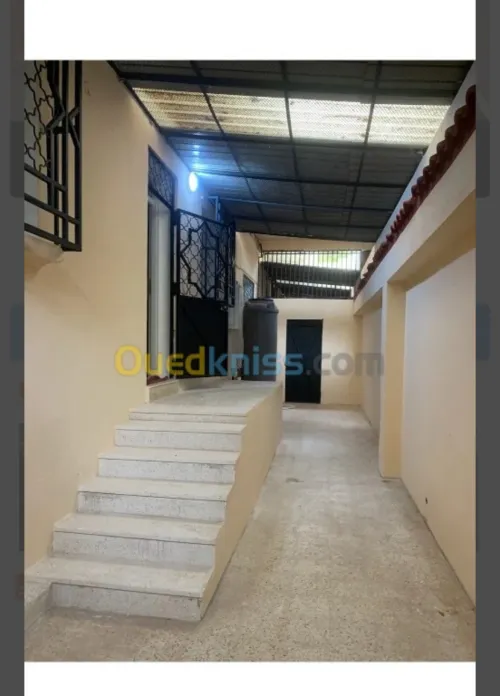 Location Appartement Duplex F10+ Sétif Setif