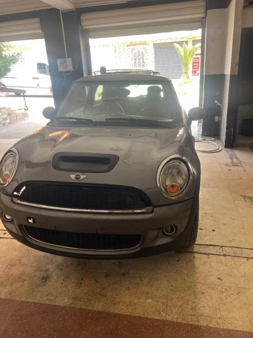 Mini Mini 2010 