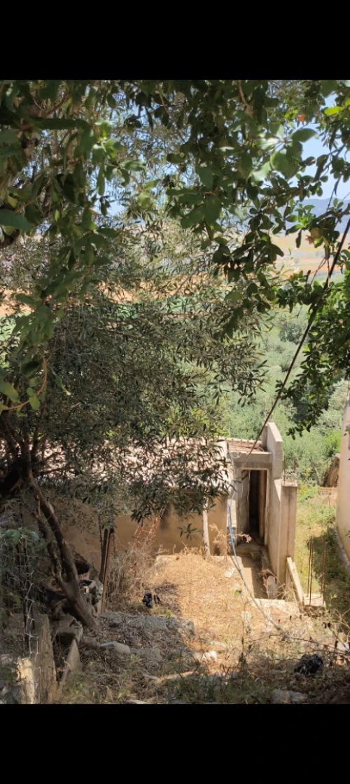 Vente Terrain Tizi Ouzou Draa ben khedda
