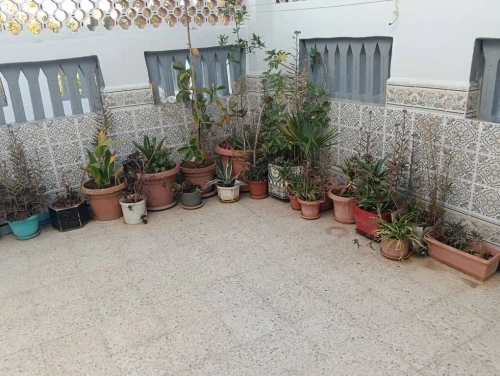 Location vacances Appartement F3 Tlemcen Tlemcen