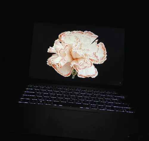 Dell Inspiron 14 5425 LAPTOP