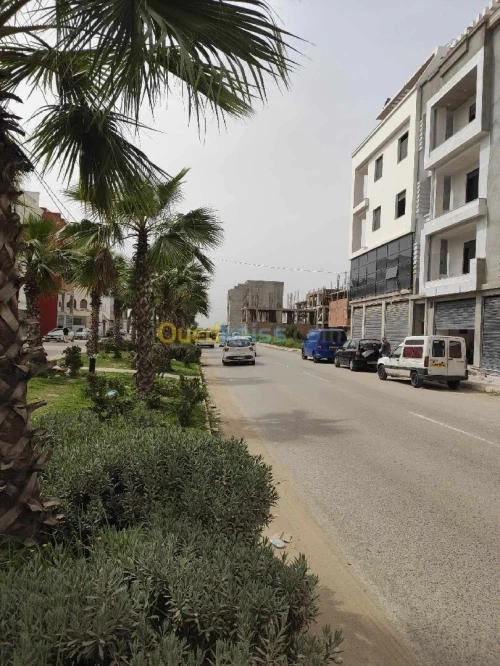 Vente Terrain Alger Rouiba