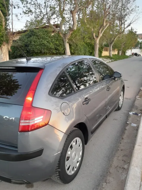 Citroen C4 2008 Vitamine