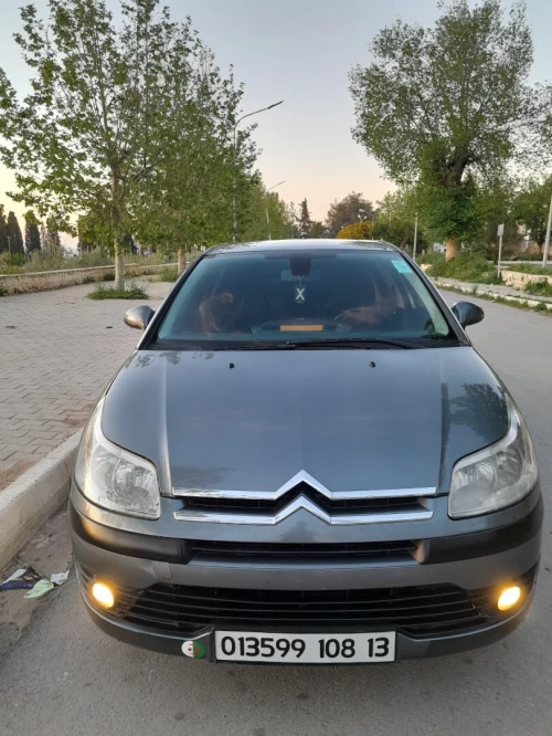 Citroen C4 2008 Vitamine