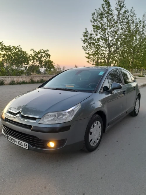 Citroen C4 2008 Vitamine