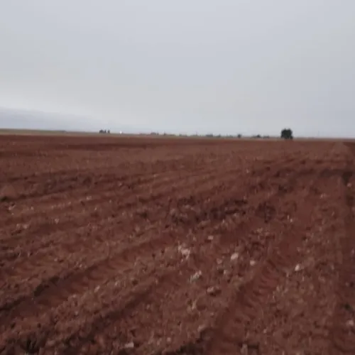 Vente Terrain Agricole Tiaret Ksar chellala