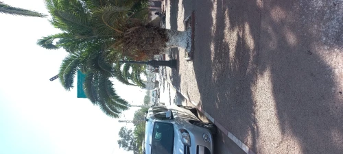 Vente Villa Oran Es senia