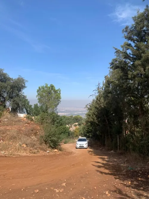 Vente Terrain Blida Meftah