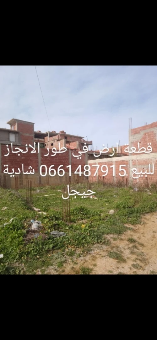 Vente Terrain Jijel Kaous