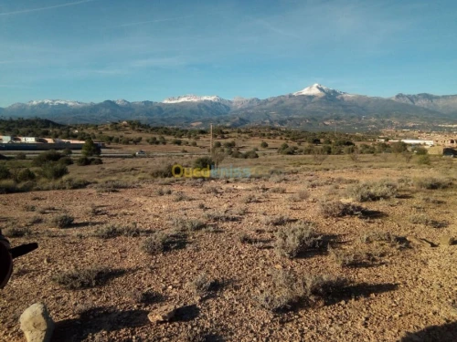 Vente Terrain Bouira Ahnif