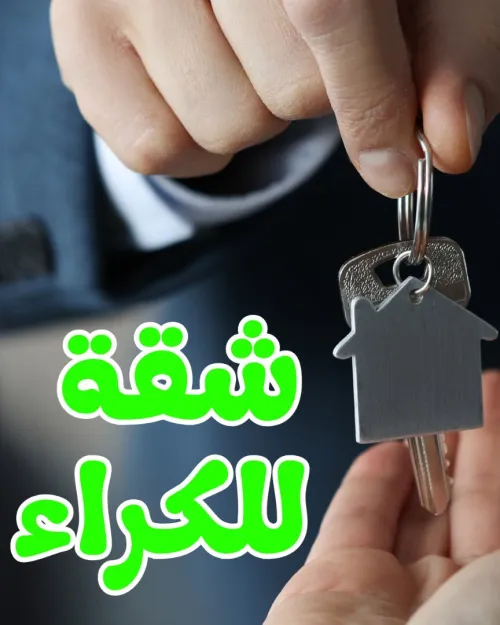 Location Appartement F3 Alger Bab ezzouar