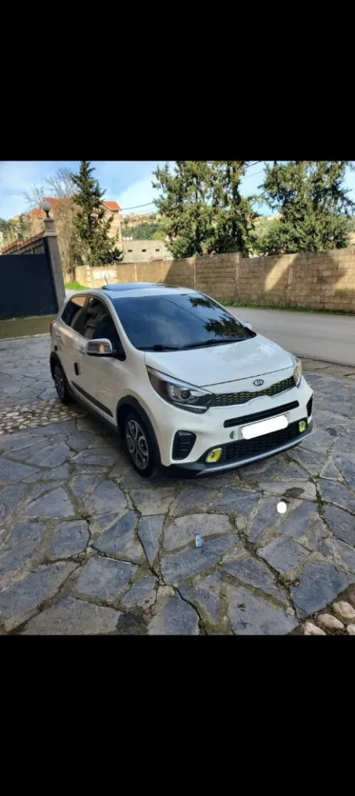 Kia Picanto 2019 Xline