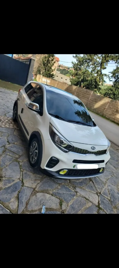 Kia Picanto 2019 Xline