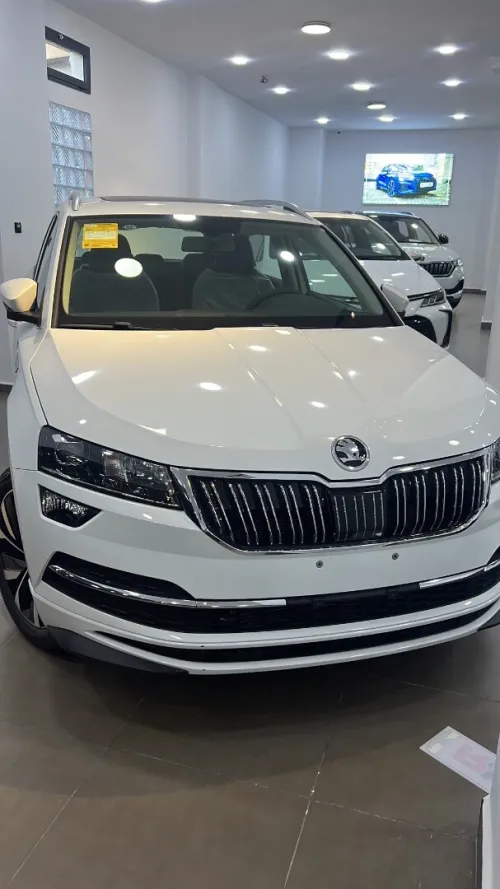 Skoda Karoq 2025 Full options