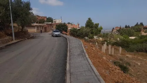 Vente Villa Blida Ain romana